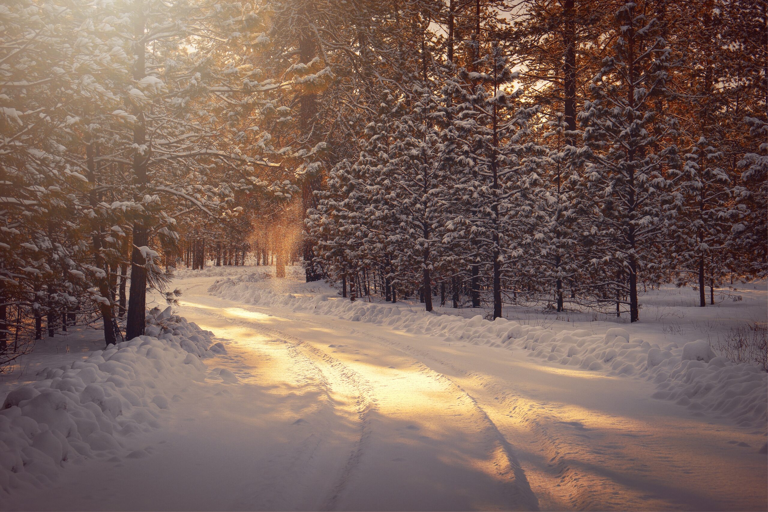 Photo by <a href="https://unsplash.com/@timothyeberly?utm_content=creditCopyText&utm_medium=referral&utm_source=unsplash" srcset=