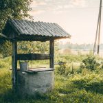 Photo by Pavlo Semeniuk on Unsplash