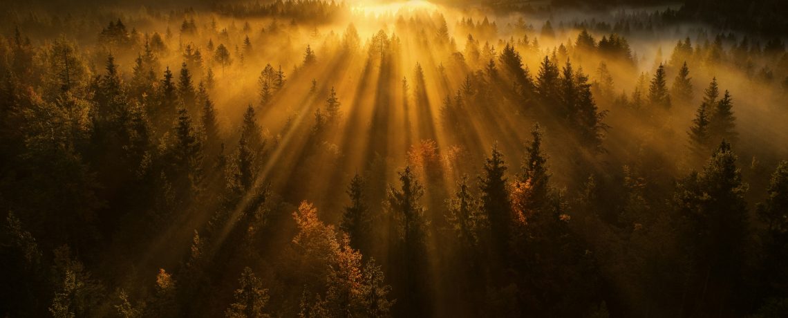 1.14.26 Wednesday Bible Study – Cody Ward – An Unchanging God