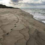 Photo by Daria Kurennaya on Unsplash