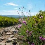 Photo by Sara Cottle on Unsplash