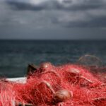 Photo by Paolo Chiabrando on Unsplash