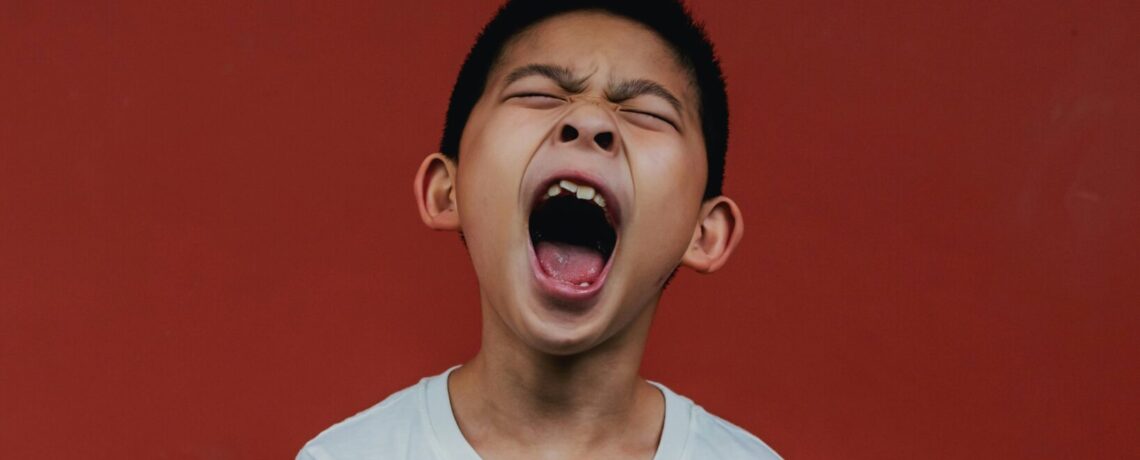 4.12.26 Sunday Morning Bible Bible Class – David Trimble – A Joyful Shout