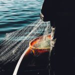 Photo by Fredrik Öhlander on Unsplash