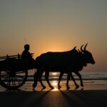 Photo by Adi K on Unsplash